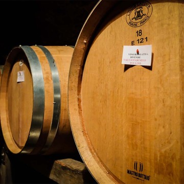 Visit to the cellar with tasting of 4 wines