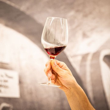 Besichtigung und Degustation der Weinkellerei von 7 Weinen