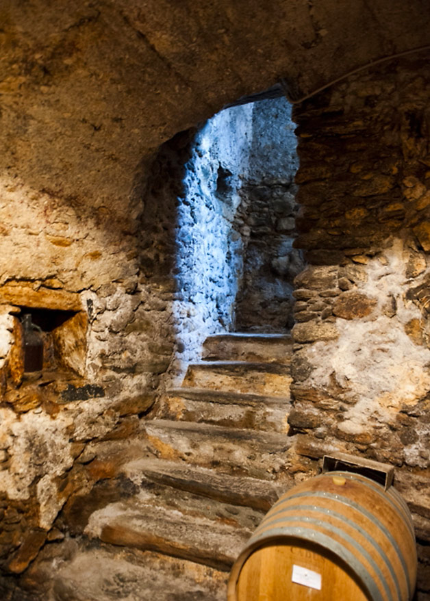 picnic with visit to the medieval cellars