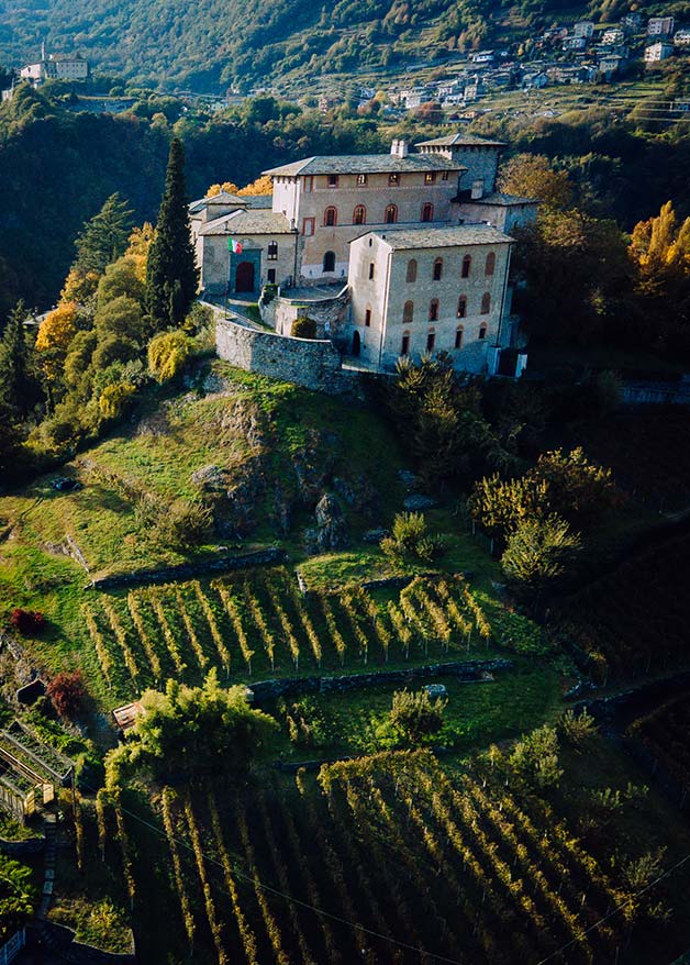 Visite in cantina storica con degustazione vini Marsetti